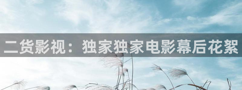 神马电影网神马影院达达兔影院