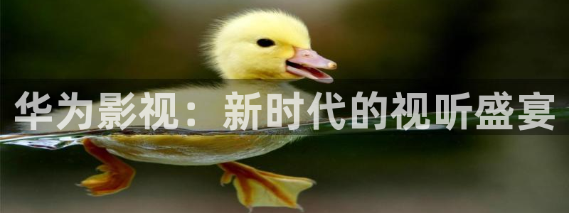 神马影院我不卡达达兔影院
