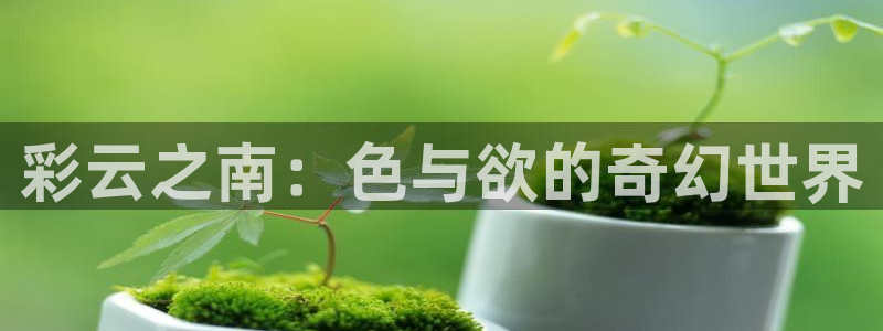 电影在线观看达达兔