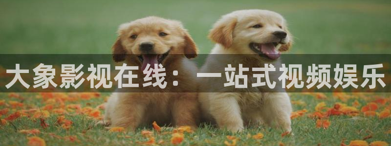神马电影院 达达兔
