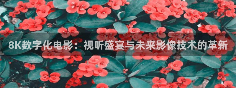 神马达达兔在线影院：8K数字化电影：视听盛宴与未来影像技术的革新