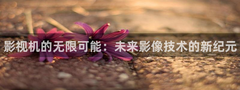 神马电影网神马影院达达兔影院：影视机的无限可能：未来影像技术的新纪元