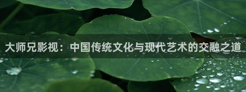 兄弟连达达兔影院：大师兄影视：中国传统文化与现代艺术的交融之道